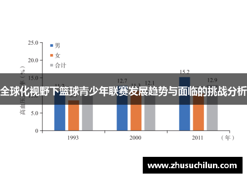 全球化视野下篮球青少年联赛发展趋势与面临的挑战分析